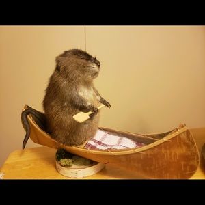 Meet your Posher, Thomas